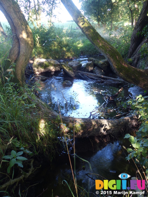 FZ019285 Water flowing Brook House Farm Campsite